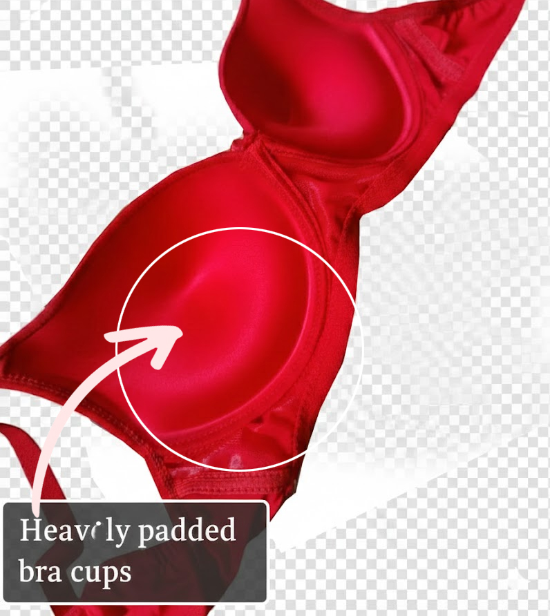 L3 padded bra